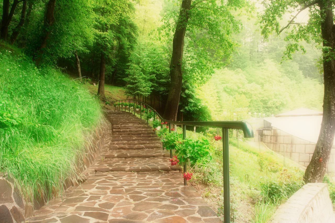 Hotel Nemira Slănic-Moldova Dış mekan fotoğraf