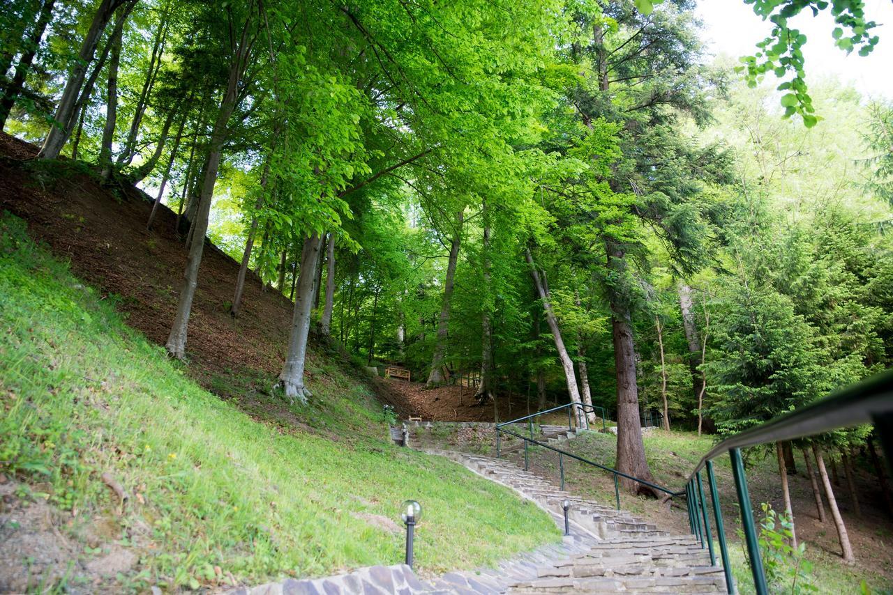 Hotel Nemira Slănic-Moldova Dış mekan fotoğraf
