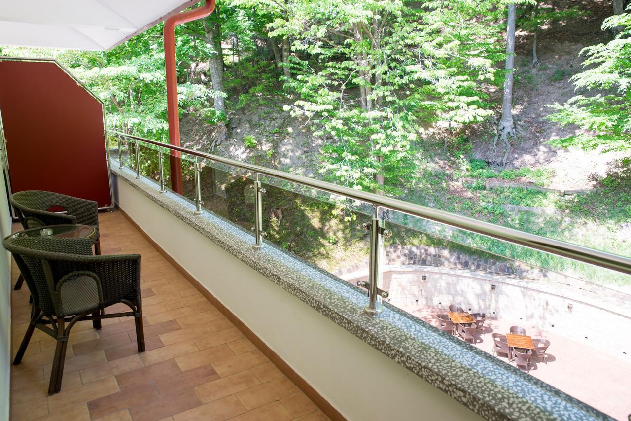 Hotel Nemira Slănic-Moldova Dış mekan fotoğraf