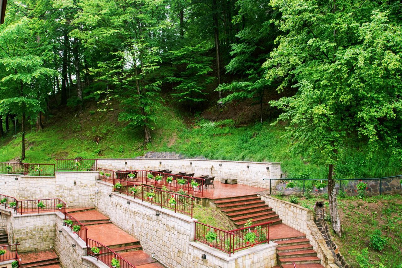 Hotel Nemira Slănic-Moldova Dış mekan fotoğraf