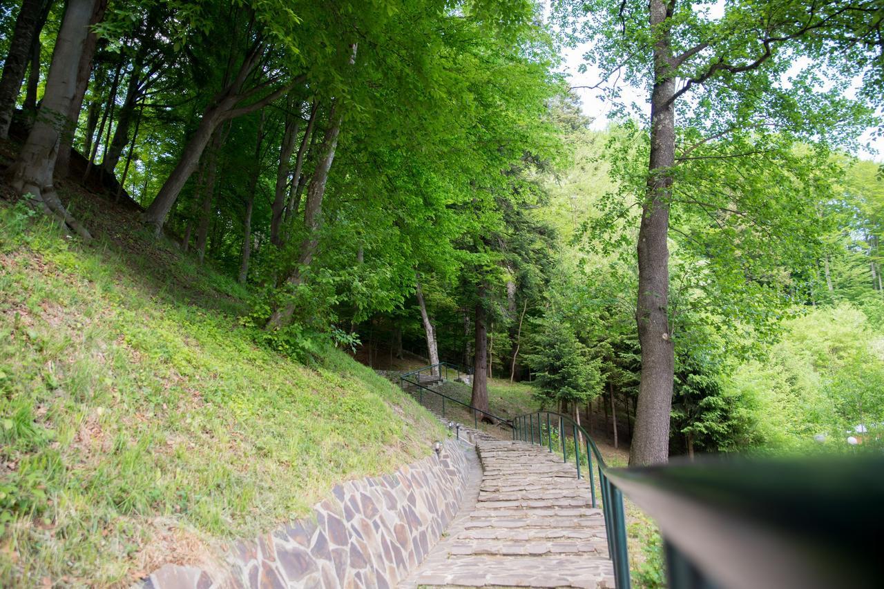 Hotel Nemira Slănic-Moldova Dış mekan fotoğraf